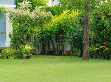 4 Easy Ways to Increase the Curb Appeal of Your Lawn