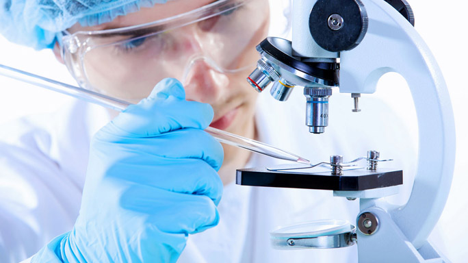 How Fungal Infection Diagnostic Lab Services Improve Early Detection and Treatment