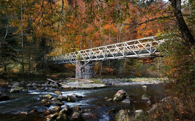 Benefits of Choosing Timber Bridges in Montana